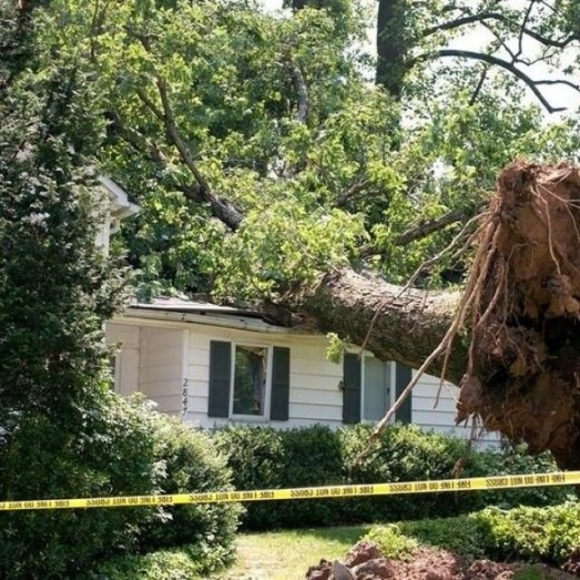 Storm Damage Repair Services in Frisco, TX
